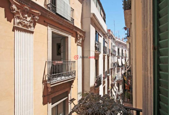 西班牙的房产,Calle Escudellers Blancs , 16,编号27797104