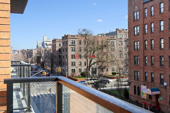 美国纽约州brooklyn1卧1卫的房产