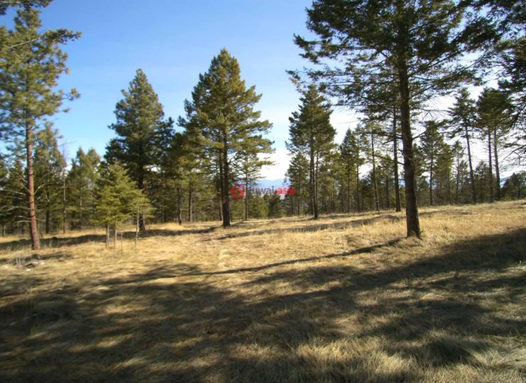 美国蒙大拿州卡利斯佩尔的房产,450 orchard ridge rd,编号27312707